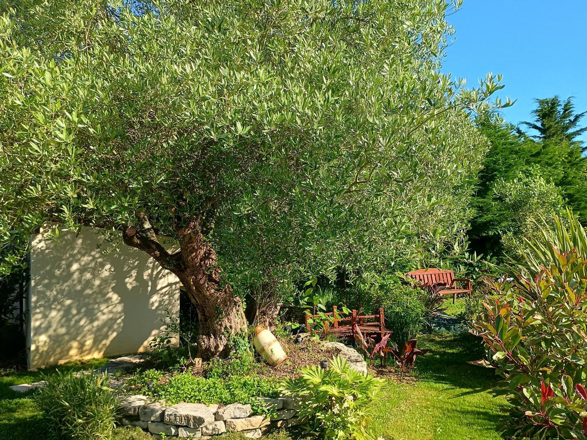 Gite Les Rosiers Au Domaine Des Sauvineries Saint-Germain-de-Princay Экстерьер фото